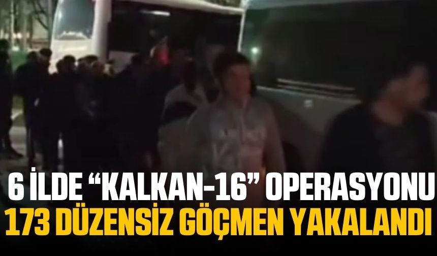 6 ilde gerçekleşen operasyonlarda 173 göçmen yakalandı