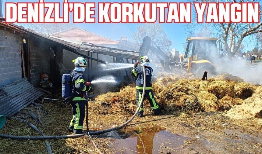 Denizli'de besihanede yangın