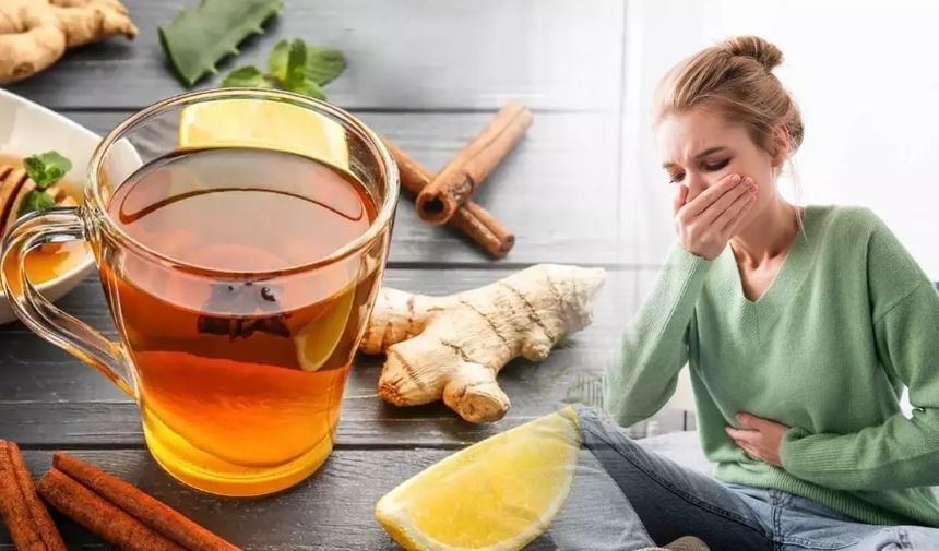 Mide Bulantısı İçin Kullanılabilecek Bitkisel Yöntemler Neler