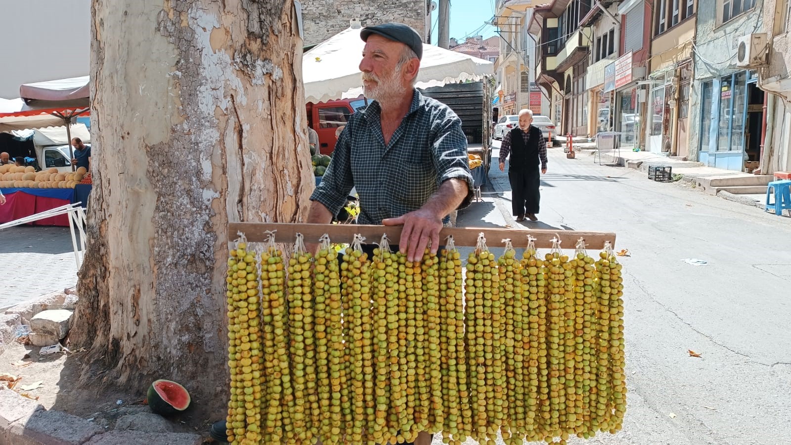 alıç  (2)
