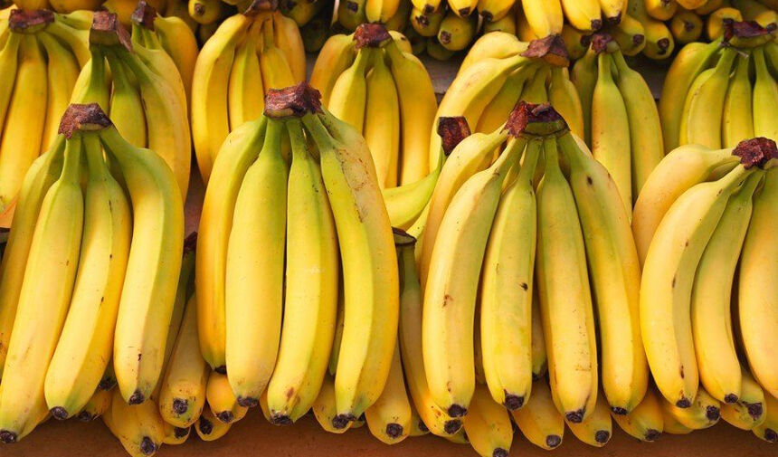 Antalya mı Mersin mi Muz'un anavatanı neresi muz