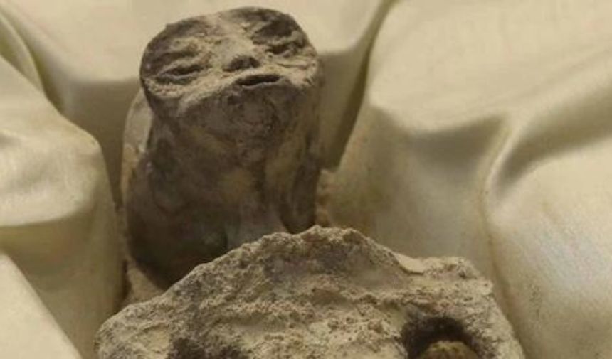 Kuran'da Uzaylılar Geçiyor mu Evrende başka canlılar var mı (1)