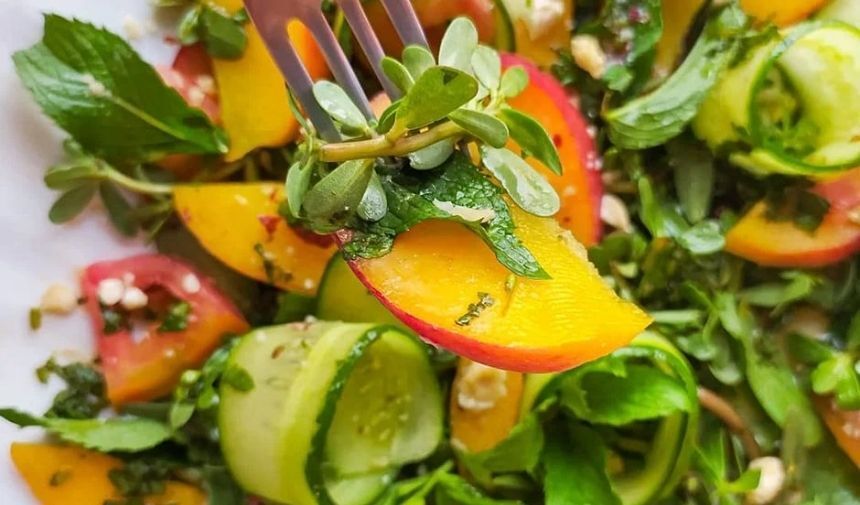 Şeftali sirkesi soslu mevsim salata
