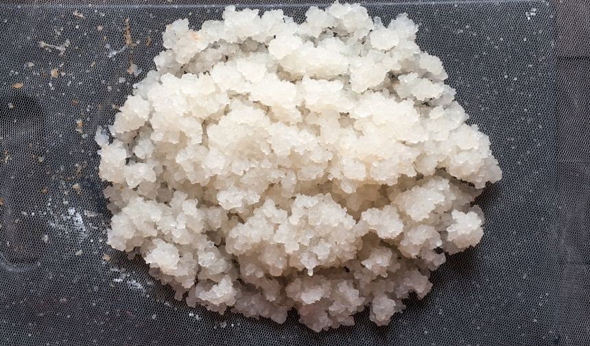 Sıfırdan kefir mayası nasıl yapılır Kefir mayasının içinde neler var (2)