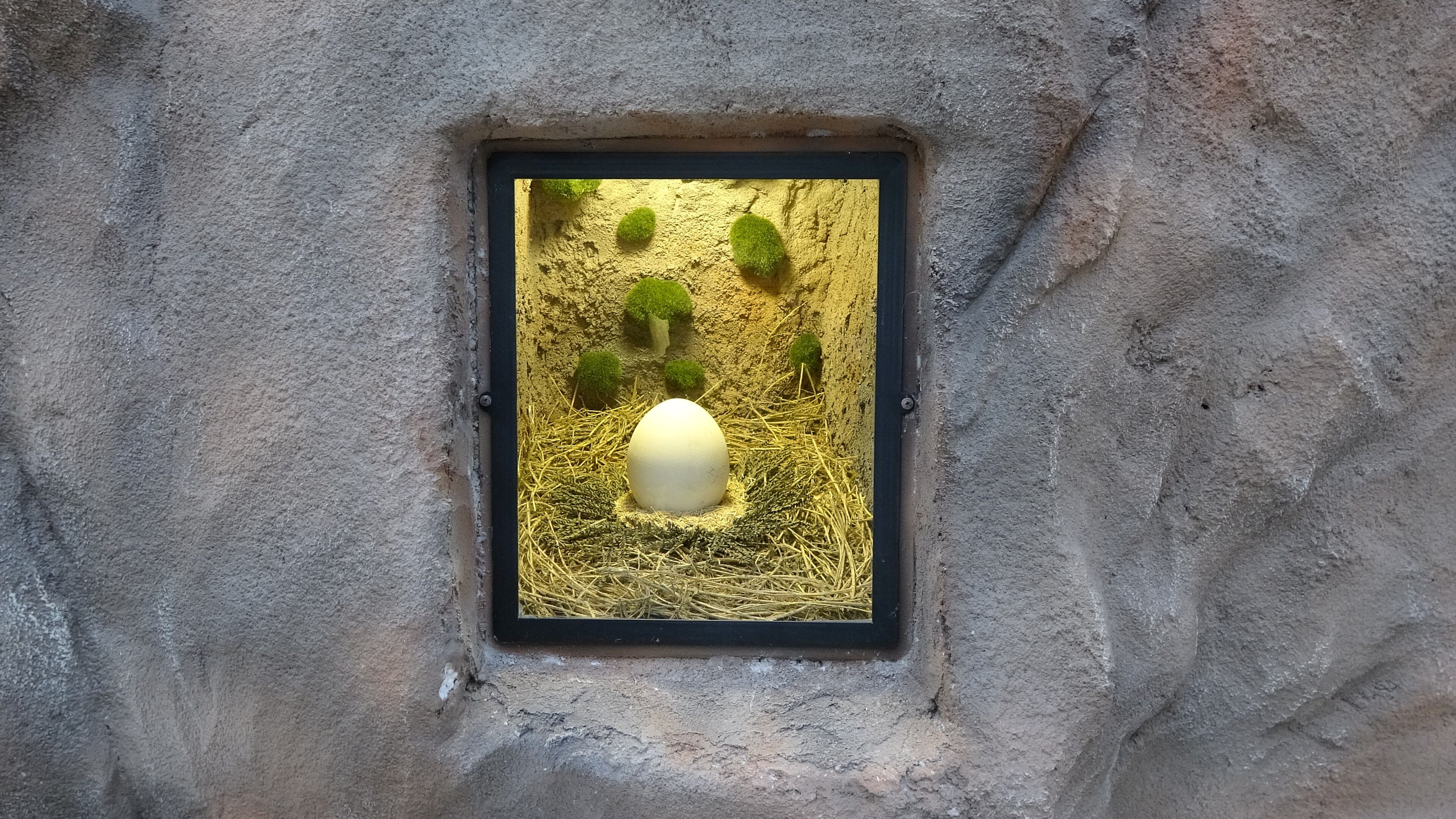 karadeniz kuş cenneti (4)