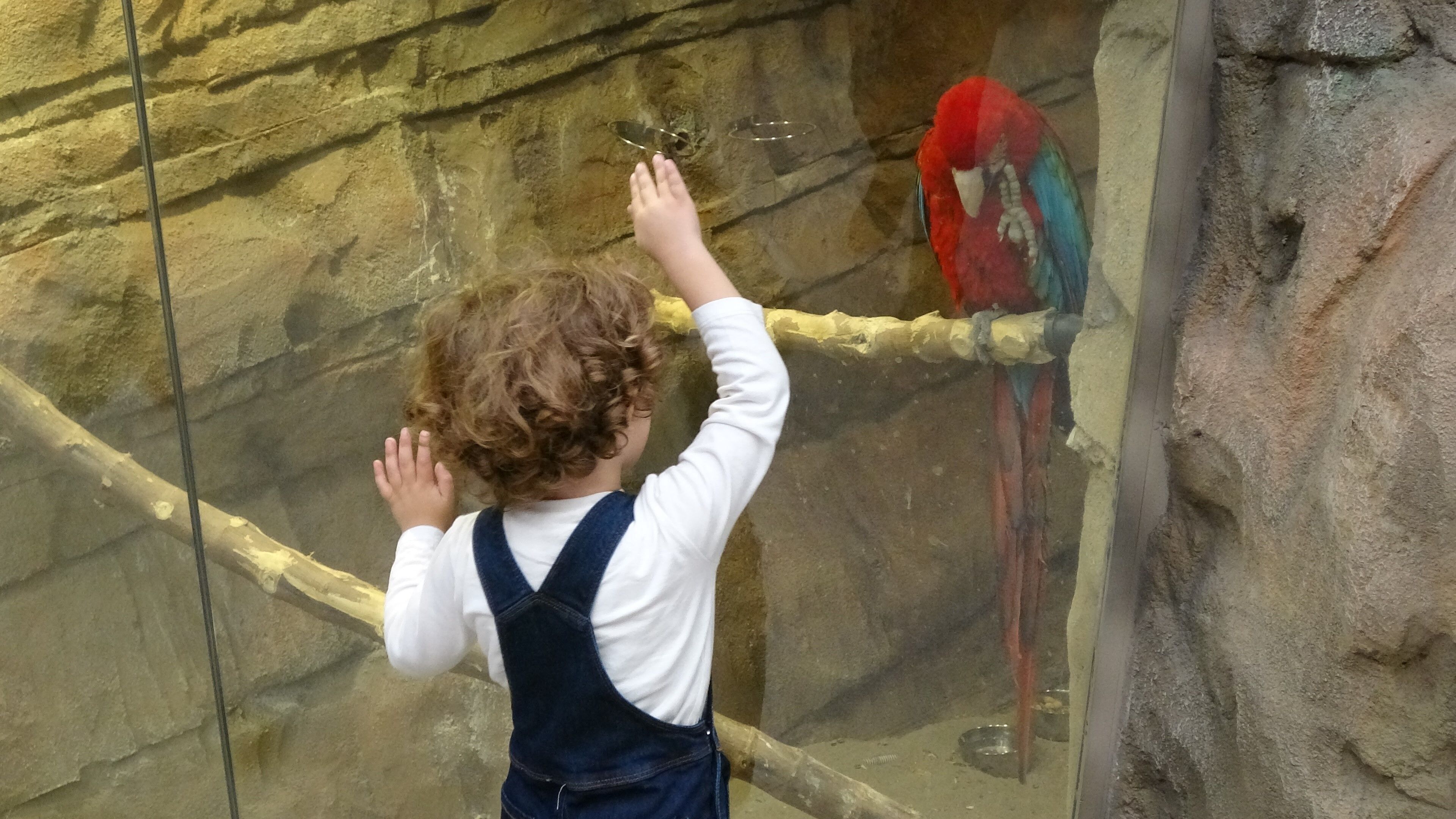 karadeniz kuş cenneti (5)