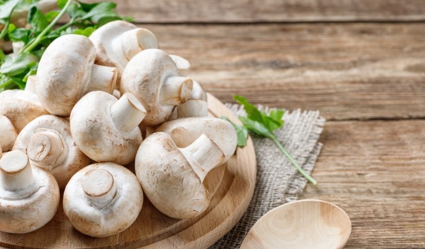 Yenilebilir Mantar Çeşitleri Nelerdir