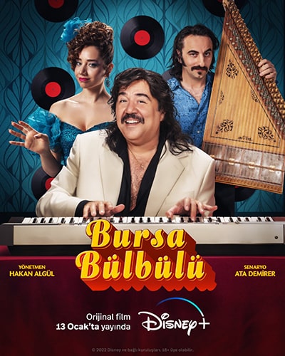 Bursa Bulbulu Gercek Mi 5