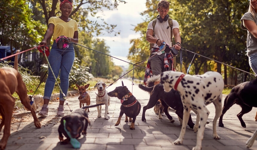 Gezintiye Çıkmadan Önce Bilmeniz Gerekenler 1