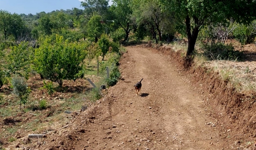 Manisa'da Yıllardır Kapalı Olan Yol Açıldı!