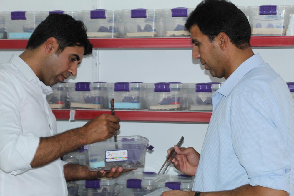 Okuduğu makale hayatını değiştirdi