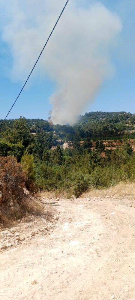 denizli'de orman yangını