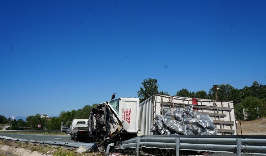 Kamyon Rejü Çarptı Meclis Üyesi Hayatını Kaybetti! (2)