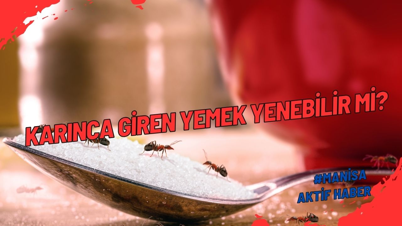 Karınca Giren Yemek Yenebilir Mi