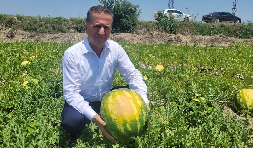 Rekor Sıcaklar Tarım Ürünlerini Yakıyor 55