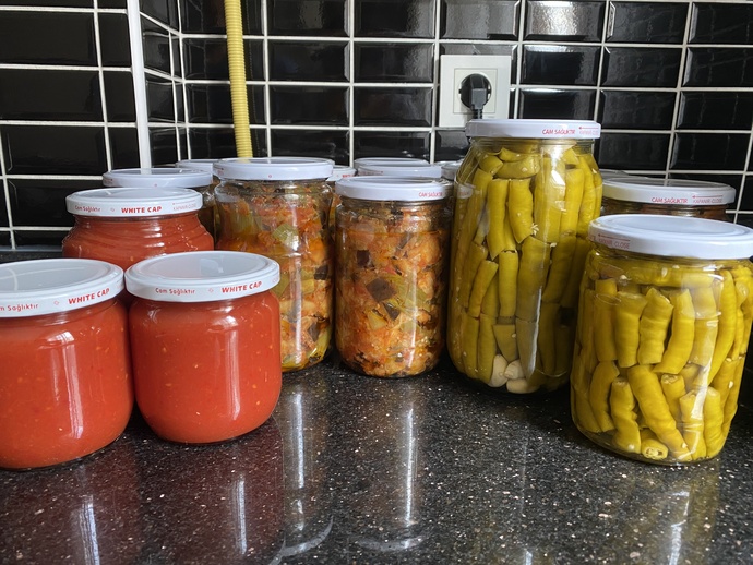 6C7E3Fed B265 4D96 A5E0 C8C74B46751E