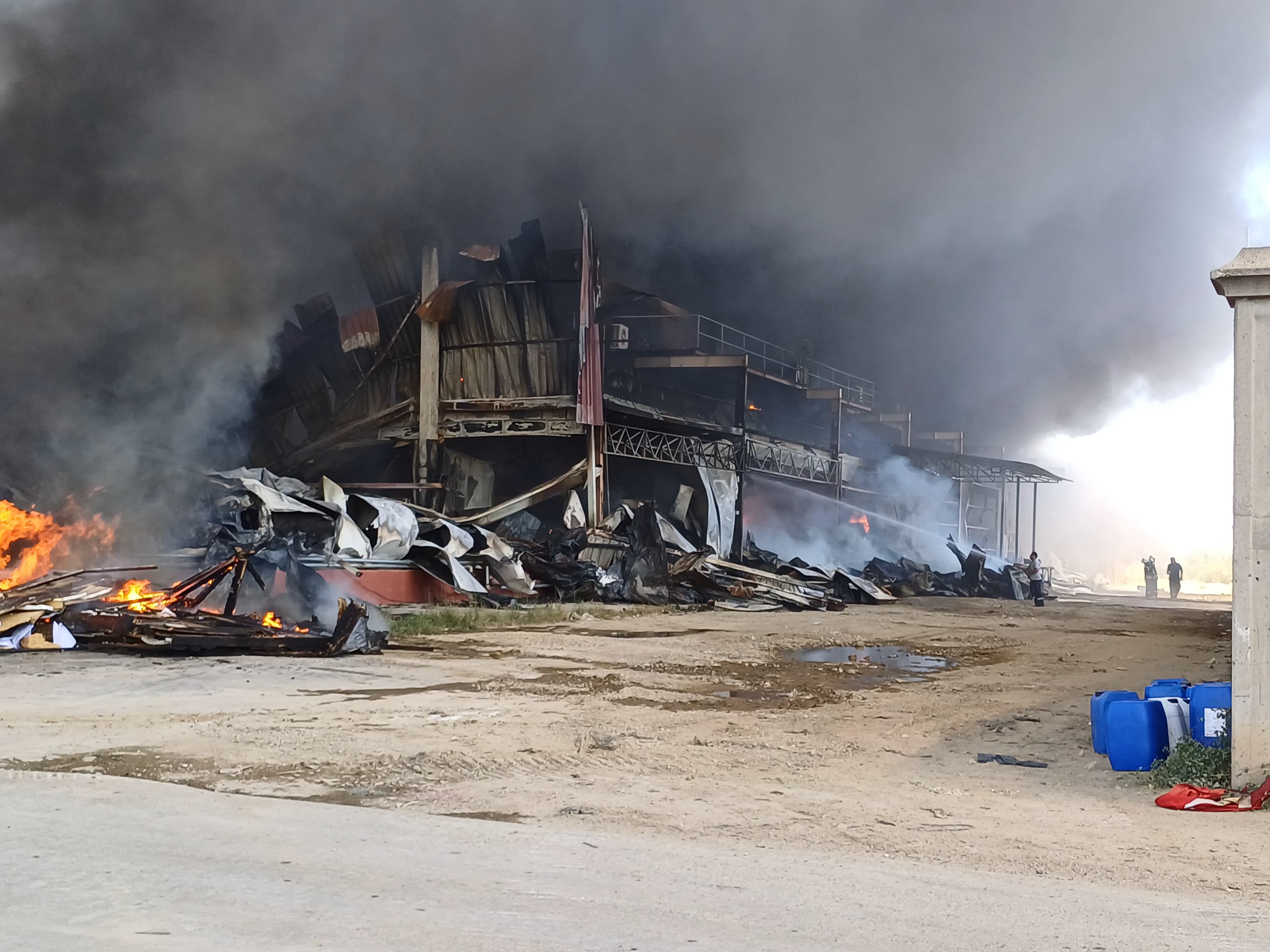 Dfa70E41 4909 4833 B36C Ad2Dcfd6Cd11