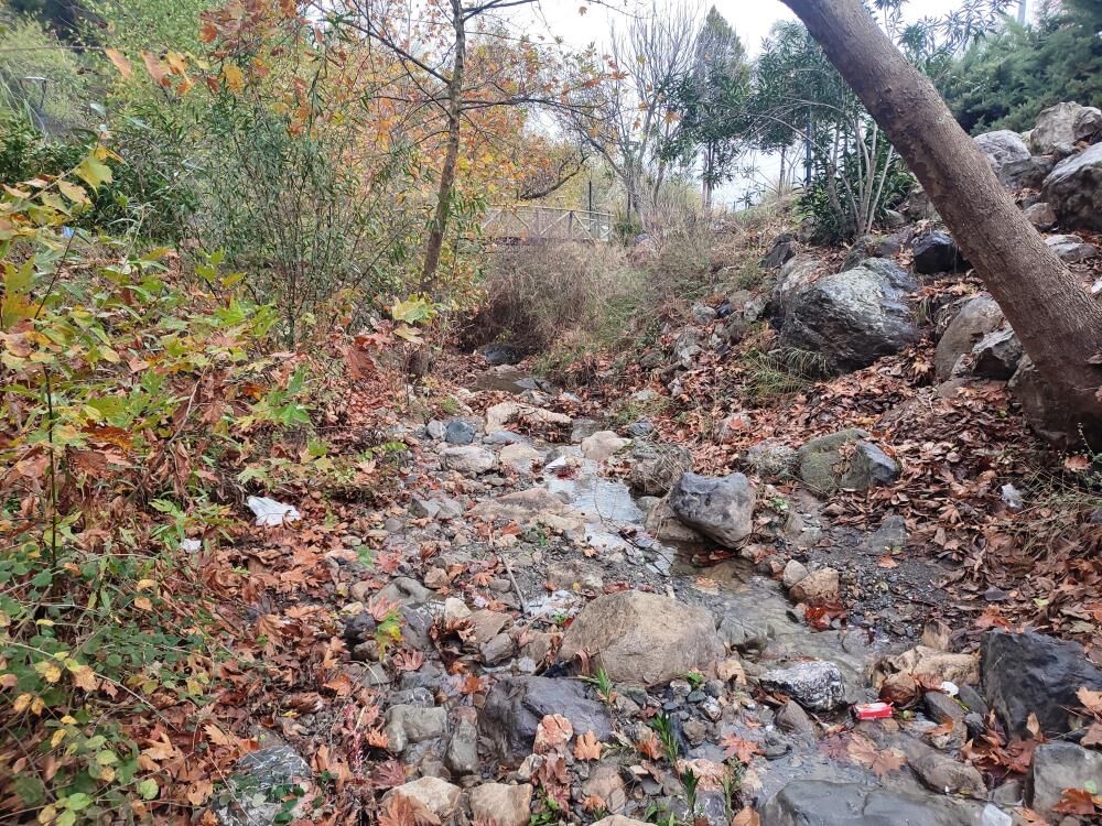 - Mesir Tabiat Parkında eşsiz manzaralar