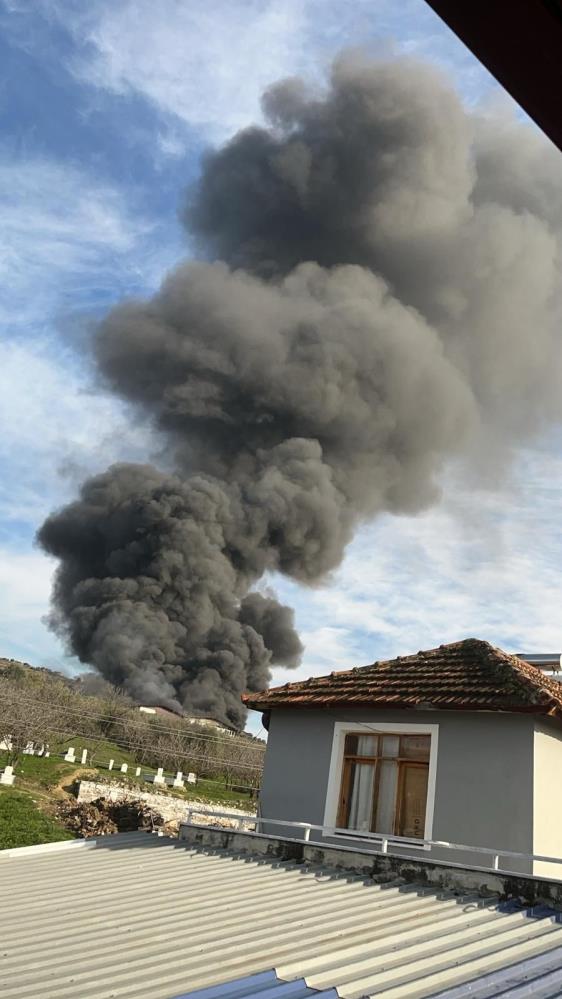 Aydın'da iş yeri alevlere teslim oldu-2