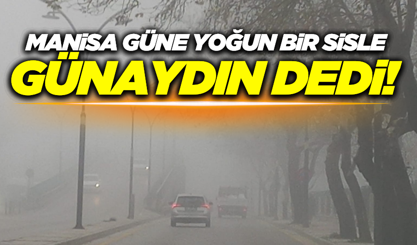Manisa'da Sis Etkili Oluyor!