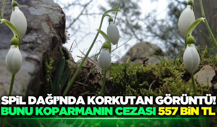 Sarıgöl'ün Ardından Spil Dağı'nda Endişelendiren Görüntü! (1)