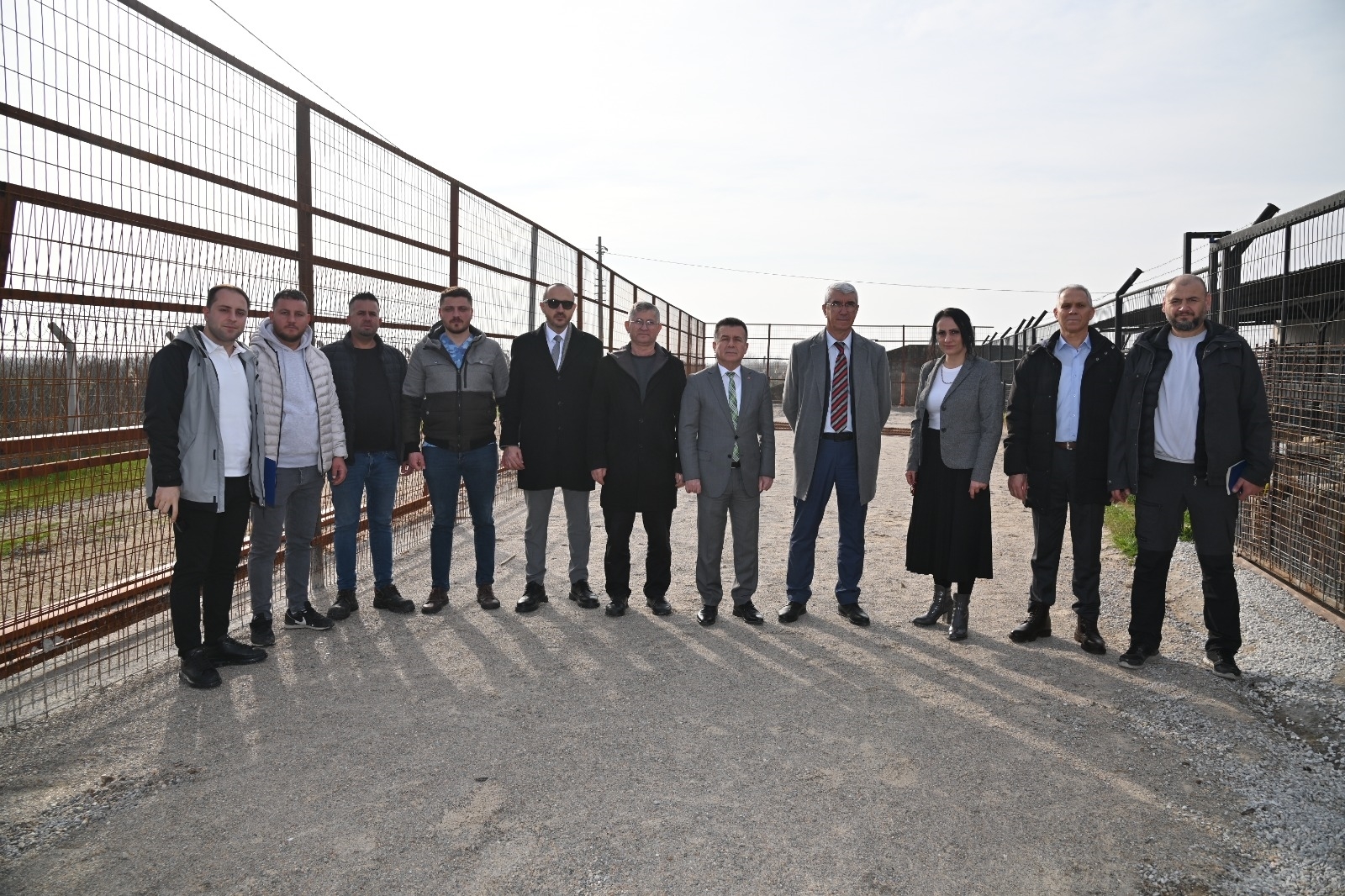 Sokak Hayvanları Için 17 Ilçede Kapsamlı Çalışmalar Yürütülüyor (1)