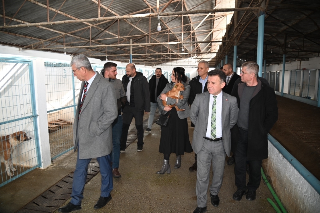 Sokak Hayvanları Için 17 Ilçede Kapsamlı Çalışmalar Yürütülüyor (3)