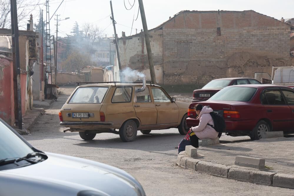 Bu tavuklar gerçekten 'geziyor'