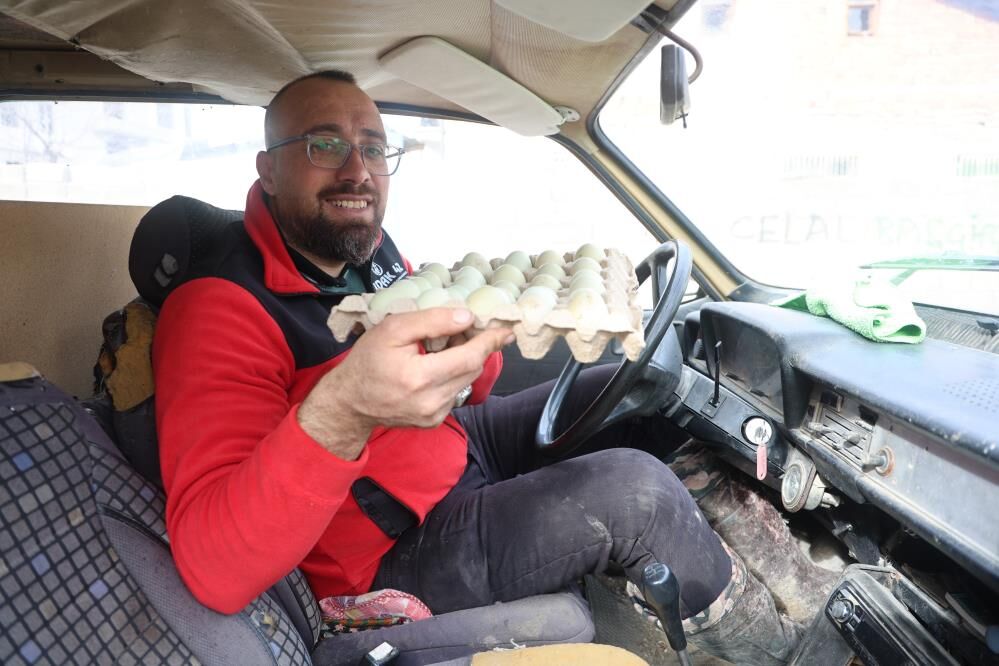 Bu tavuklar gerçekten 'geziyor'-1