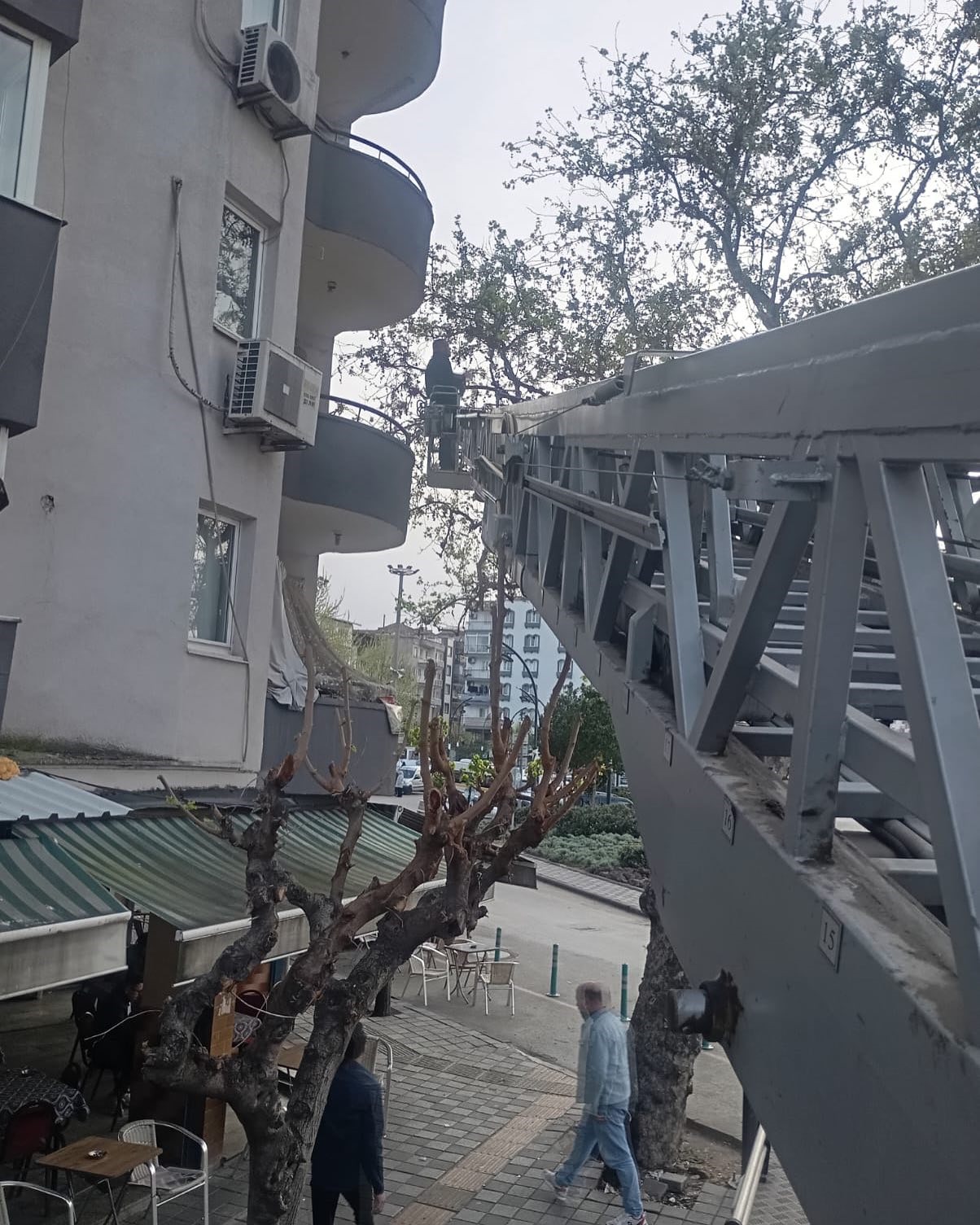 Whatsapp Image 2025 03 31 At 21.25.34