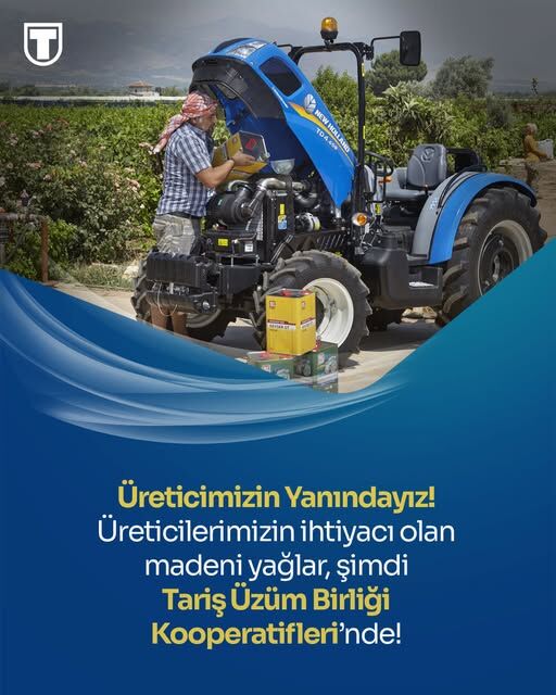 489901379 122243262662199706 1009098610989384049 N