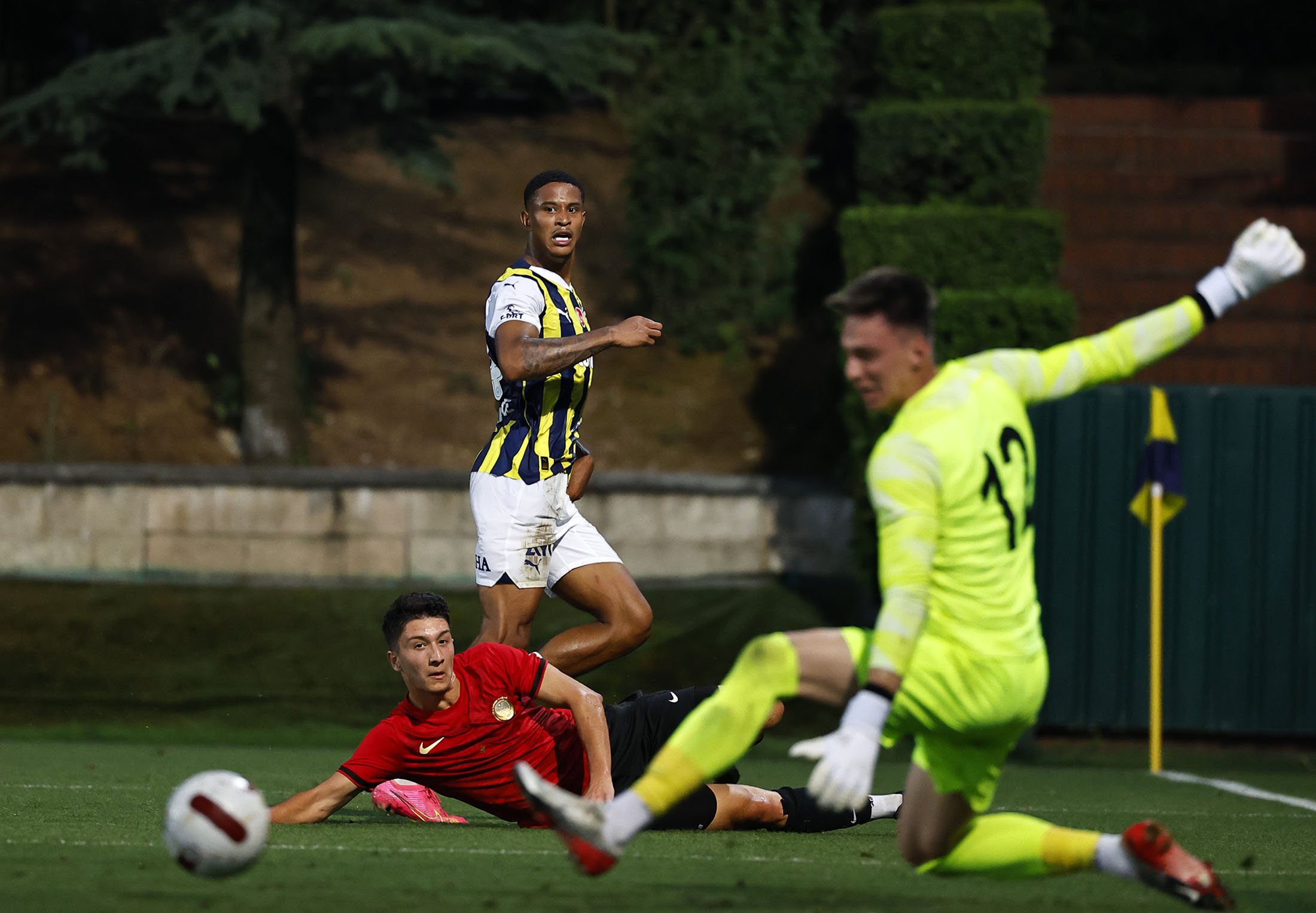 Fenerbahçe Gençlerbirliğmaç özeti