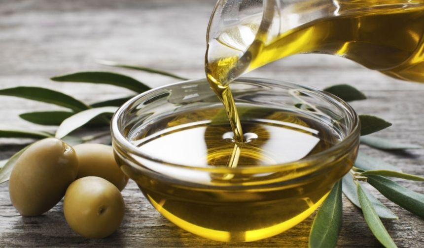 aydın zeytin zeytinyağı