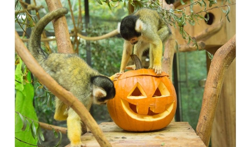 ZOO Ljubljana