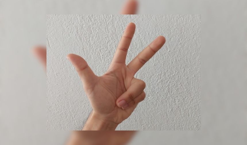 Çetnik ne demek Çetnik selamı nedir Nasıl yapılır 1