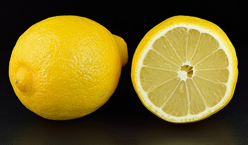 Karınca ne kokusundan kaçar Karınca gelmemesi için ne yapmalı limon