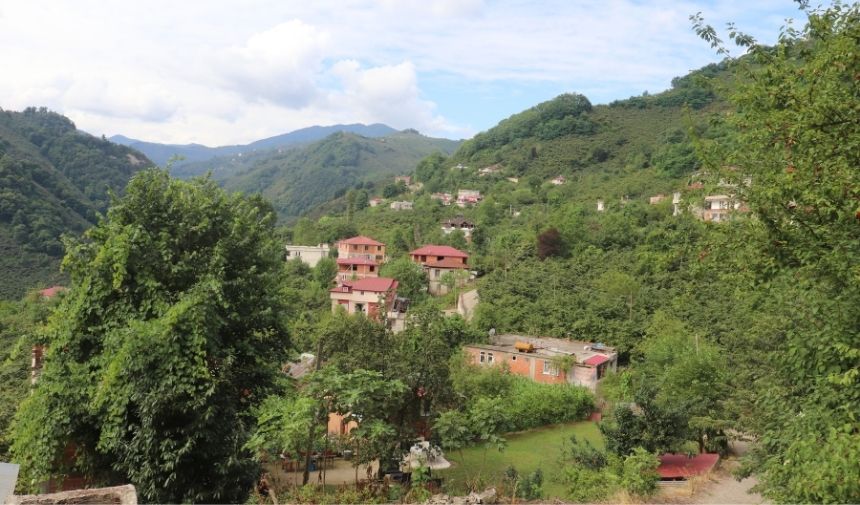 Ordu'nun en temiz havası olan ilçesi hangisi Gülyalı