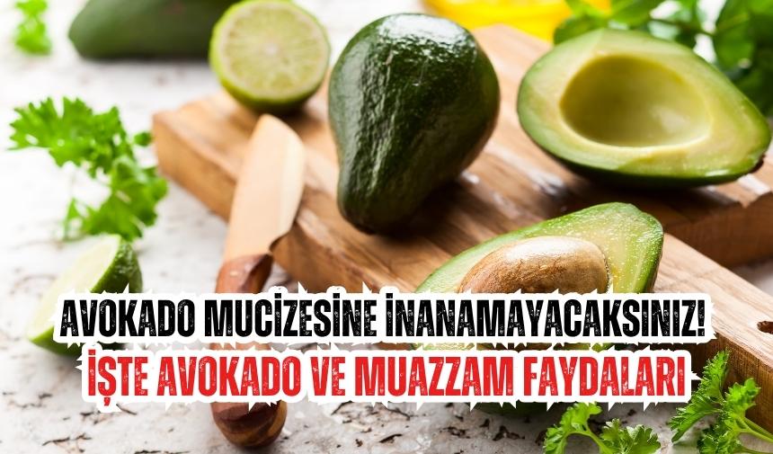 Avokado mucizesine inanamayacaksınız! İşte Avokado ve muazzam faydaları