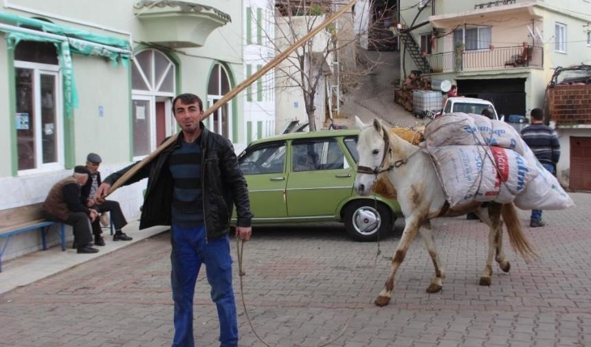 Bin yıllık gelenek sürüyor Aydın'da halen eşek biniliyor