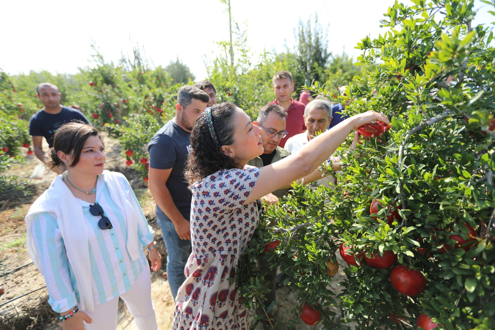 nar şenliği üreticiye destek (6)