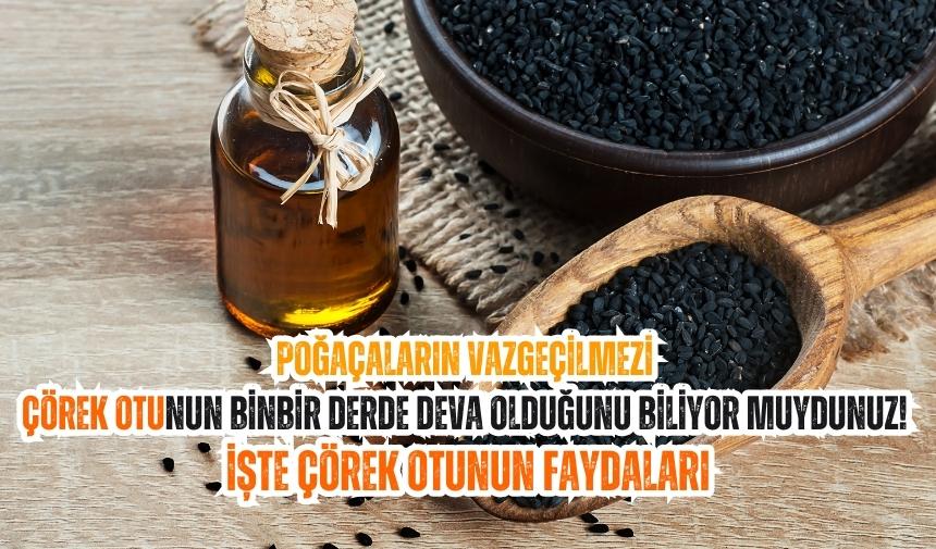 Poğaçaların Vazgeçilmezi Çörek Otunun Binbir Derde Deva Olduğunu Biliyor muydunuz! İşte Çörek Otunun Faydaları