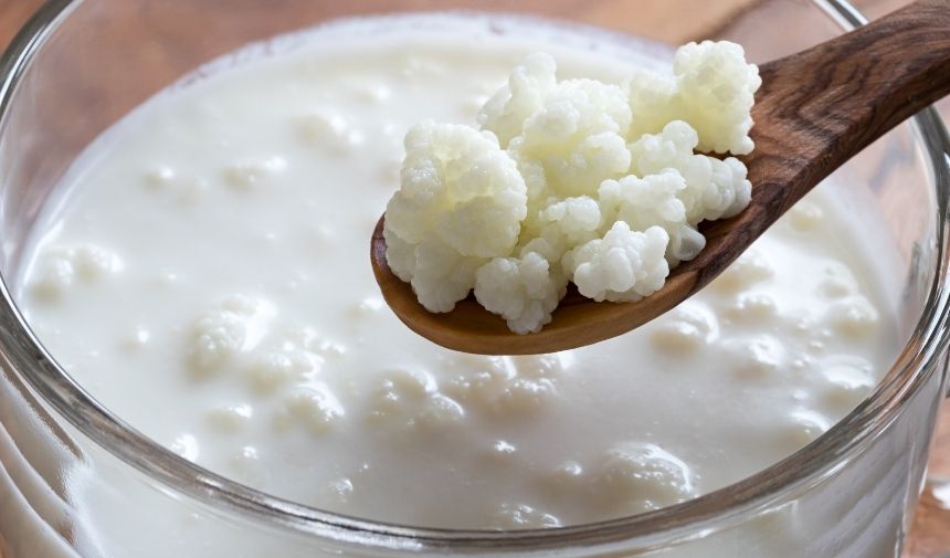 Sıfırdan kefir mayası nasıl yapılır Kefir mayasının içinde neler var (1)