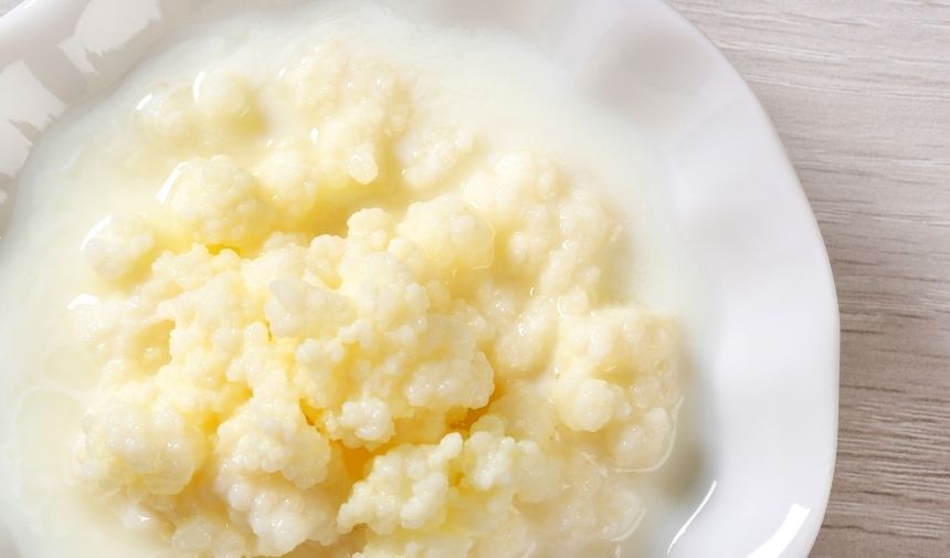 Sıfırdan kefir mayası nasıl yapılır Kefir mayasının içinde neler var (3)