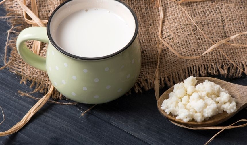 Sıfırdan kefir mayası nasıl yapılır Kefir mayasının içinde neler var (4)