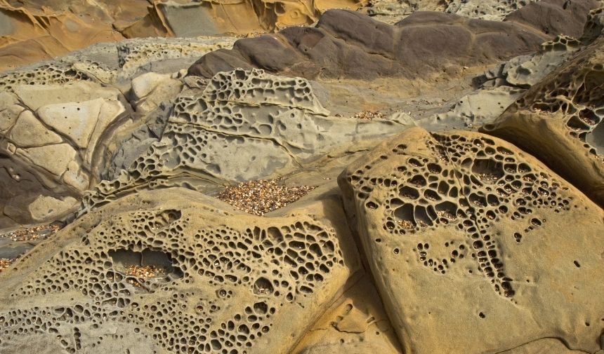 Tafoni Nedir Nasıl Oluşur Tafoni Hangi Dış Kuvvet Ile Oluşur (3)