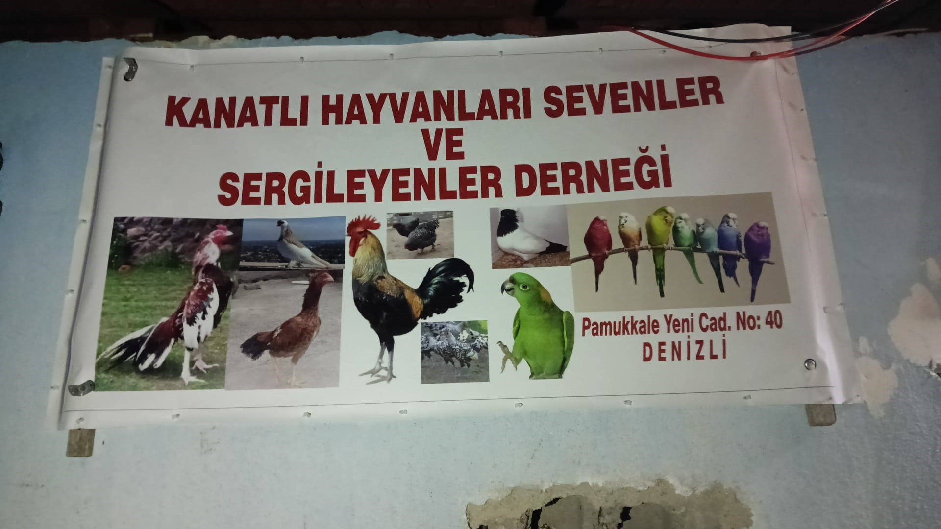 Denizli Operasyon Horoz (5)