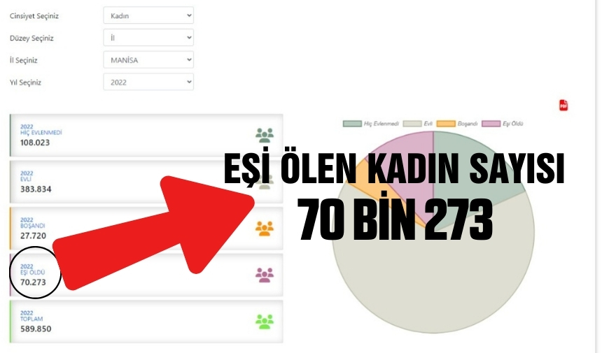 Eşi̇ Ölen Kadin Sayisi 2022