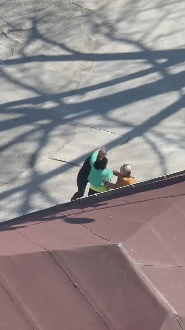 Kadınlar Saç Saça Birbirlerine Girdii (4)