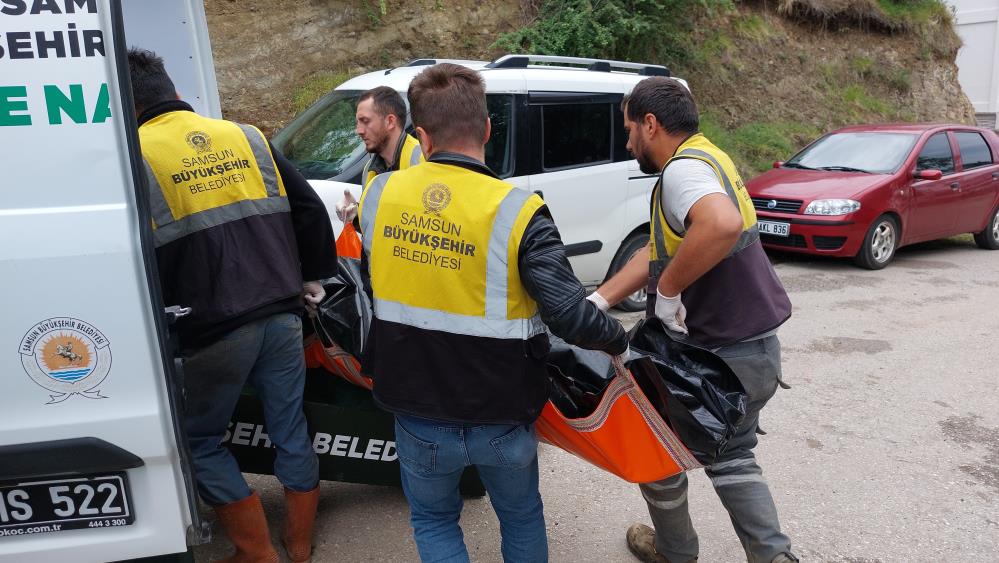 Samsun'da Korkunç Olay! 5 Aylık Hamile 3 Çocuk Annesi Kadın Evde Asılı Halde Bulundu-1