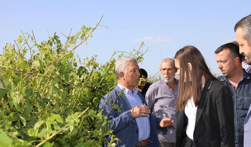 Başkan Durbay Dolu Hasarını Inceledi! (3)